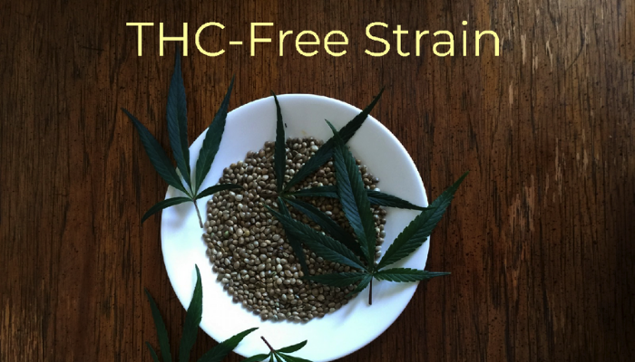 THC-FREE STRAIN