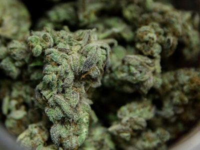 Photo for: Kalamazoo Township approves recreational marijuana business