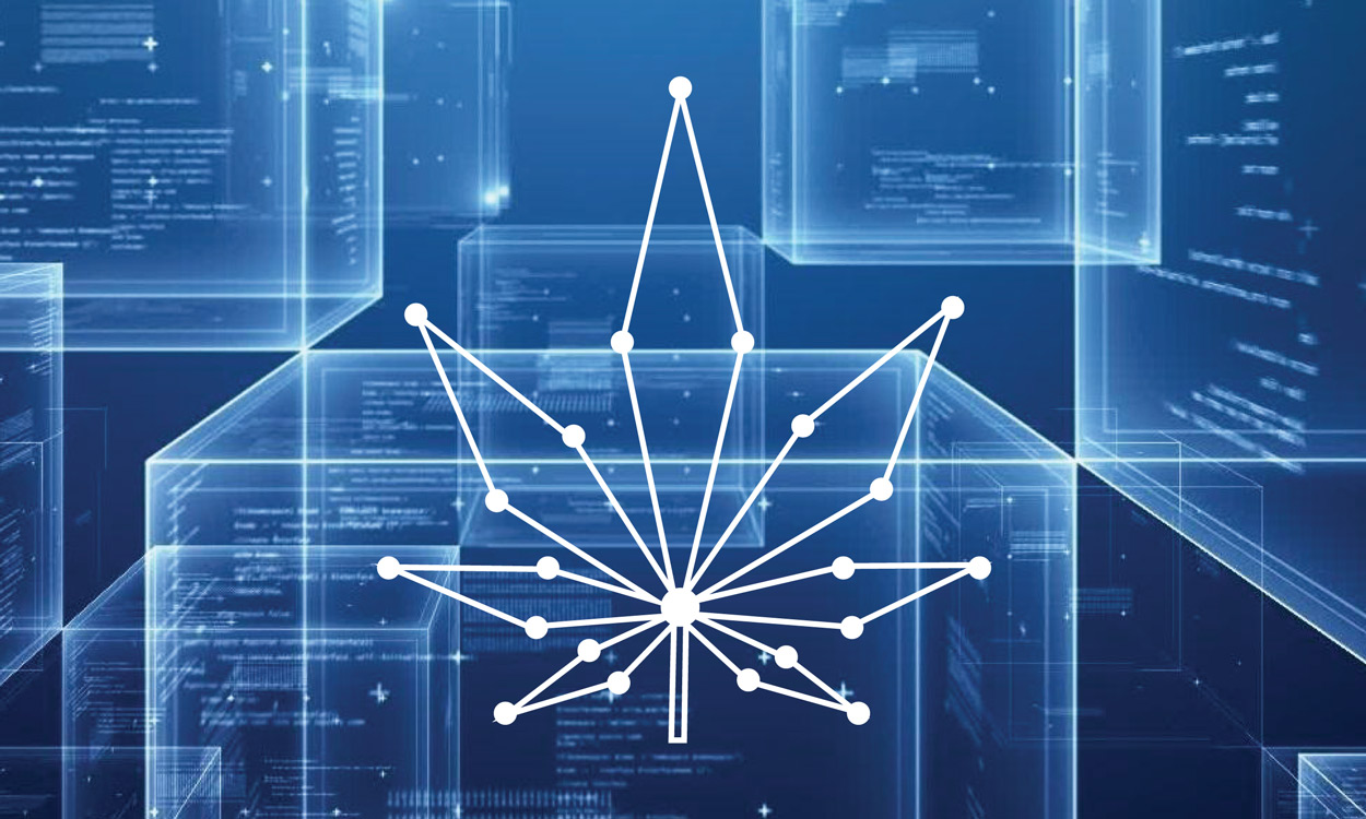 Photo for: Innovative Technologies Could Help the Advancement in the Cannabis Industry