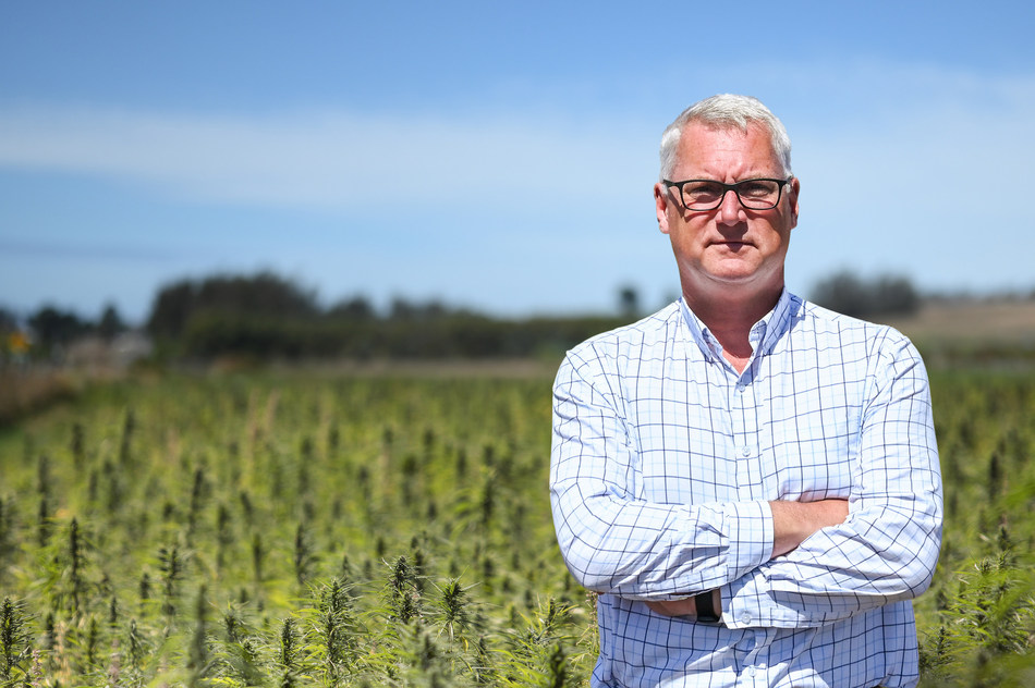 Photo for: Hemp Farmers Face $7.5bn in Losses as Banks Struggle to Come to Terms with CBD 